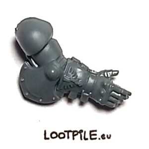 Otwarta Ręka Custodian Wardena, Prawa - obrazek 1