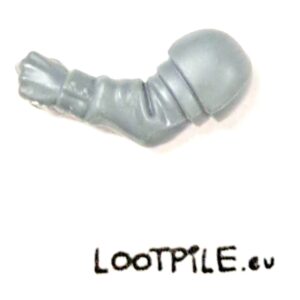 Ręka z Zaciśniętą Pięścią Weterana Cadii Lewa