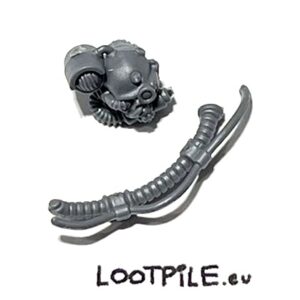 Serwoczaszka i przewody Myrmidona Destruktora - Poza 1