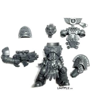 Vael Donatus – Sternguard Veteran Ultramarines - obrazek 1