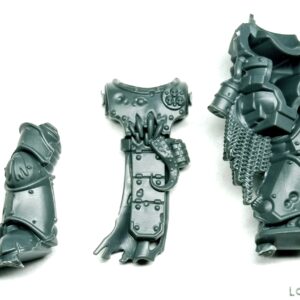 Ciało Plague Marine B - obrazek 1