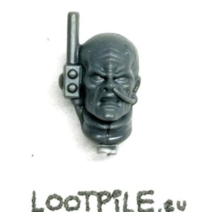 Głowa Brata Lęgu z Antenką