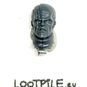 Głowa Brata Lęgu B - obrazek 1