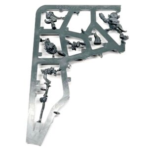 Blood Bowl Gnome Team Gnome Beastmaster Druid Czarodziej bez fajki - obrazek 1